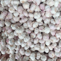 New Crop Hot Sales Garlic Price 2021 China/Chinese Fresh Natural White Garlic Price